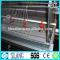 High quality about the automatic poultry cage layer chicken cage/chicken cage
